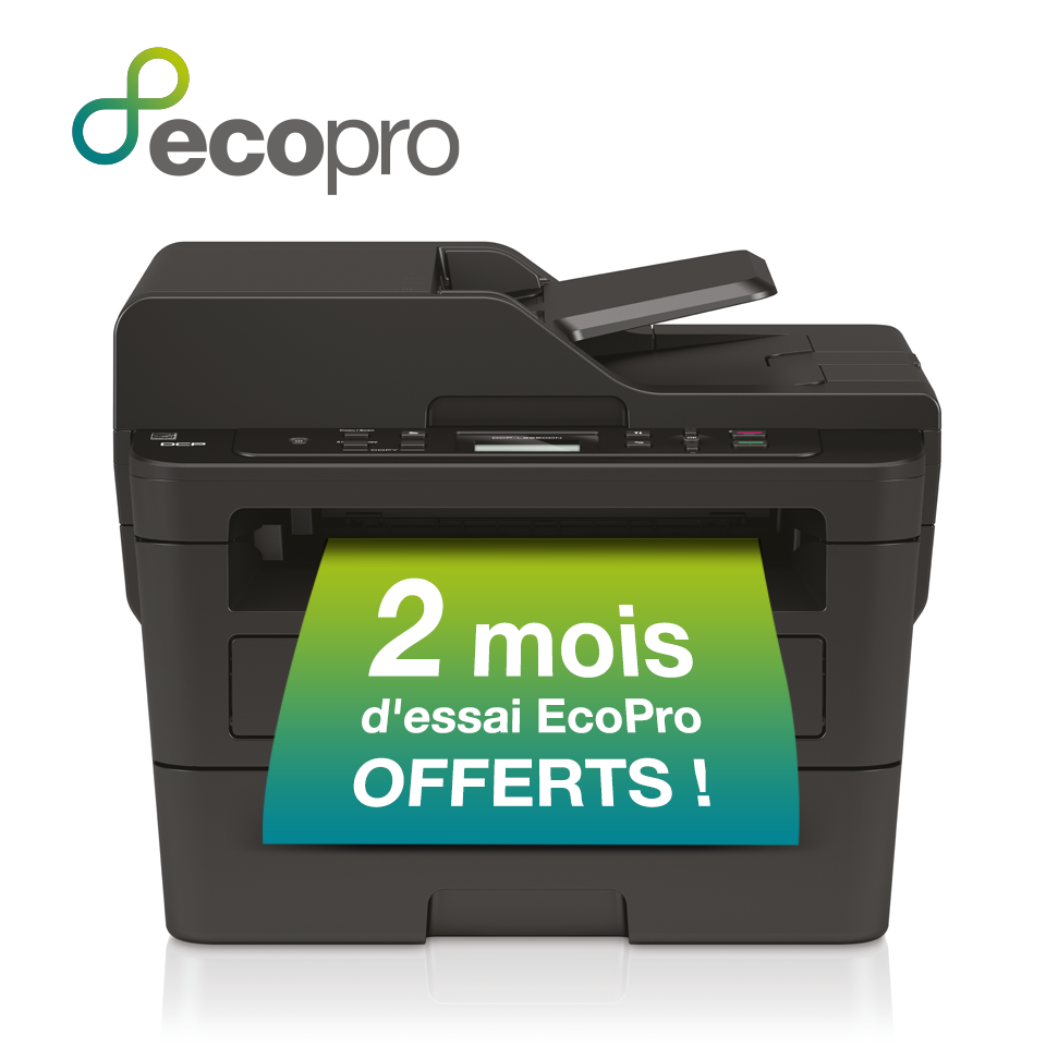 <p>EcoPro Promotion 2 months</p>