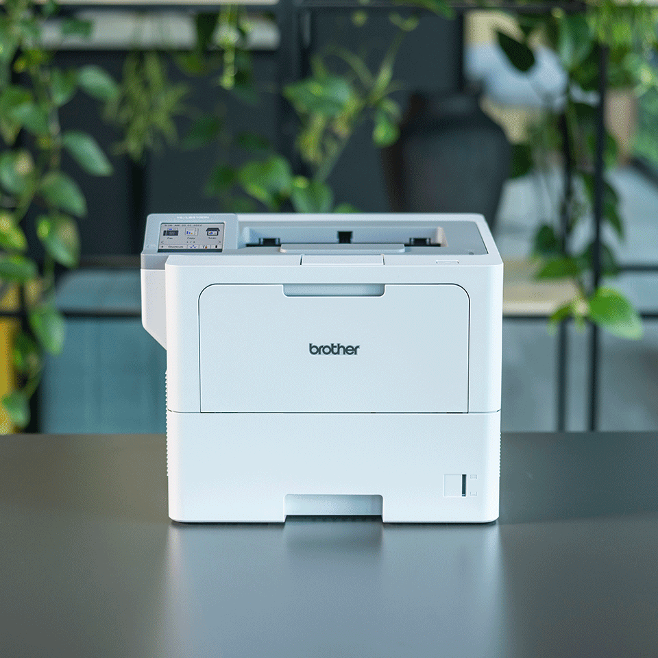 Brother HL-L6410DN on grey table surrounded by plants