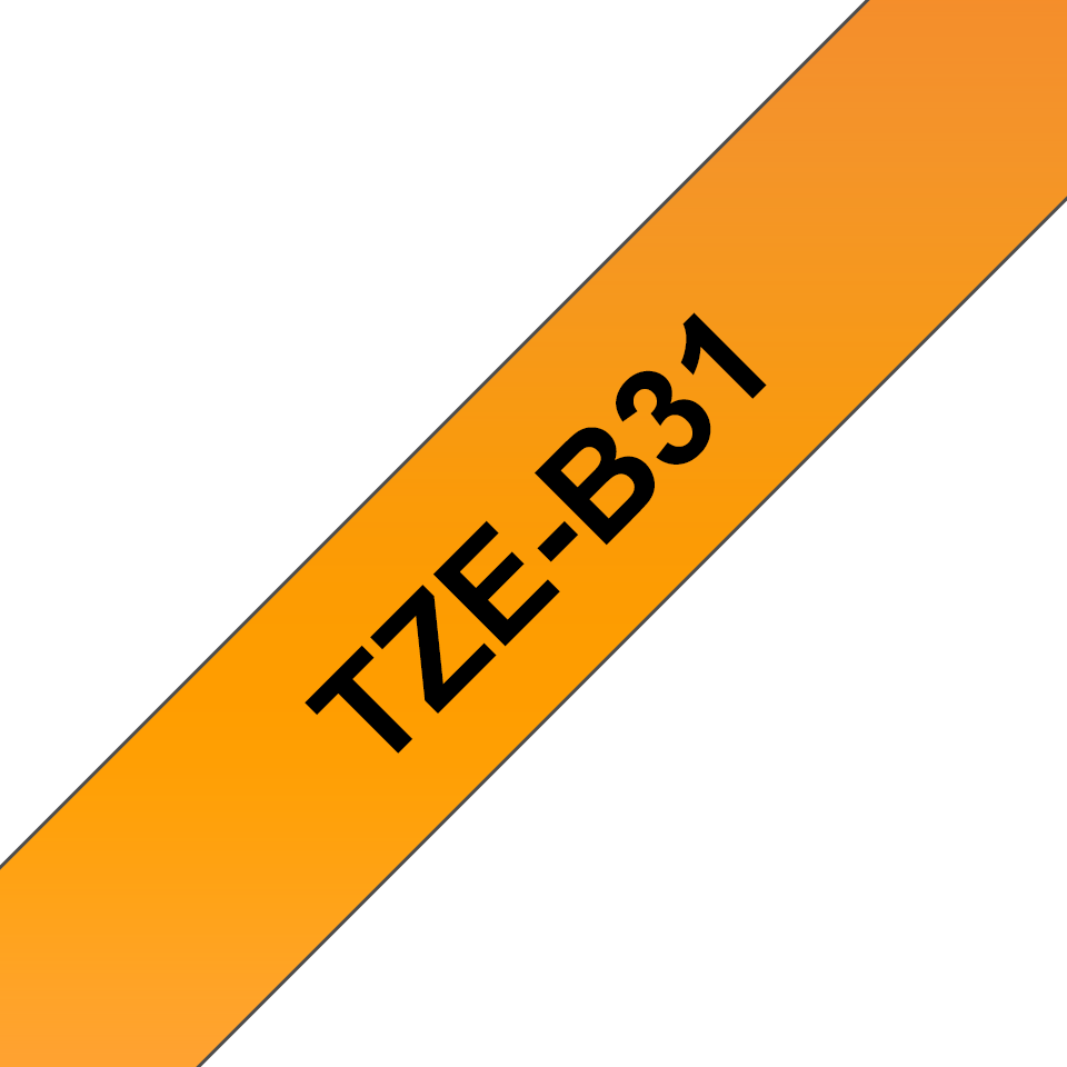 TZeB31