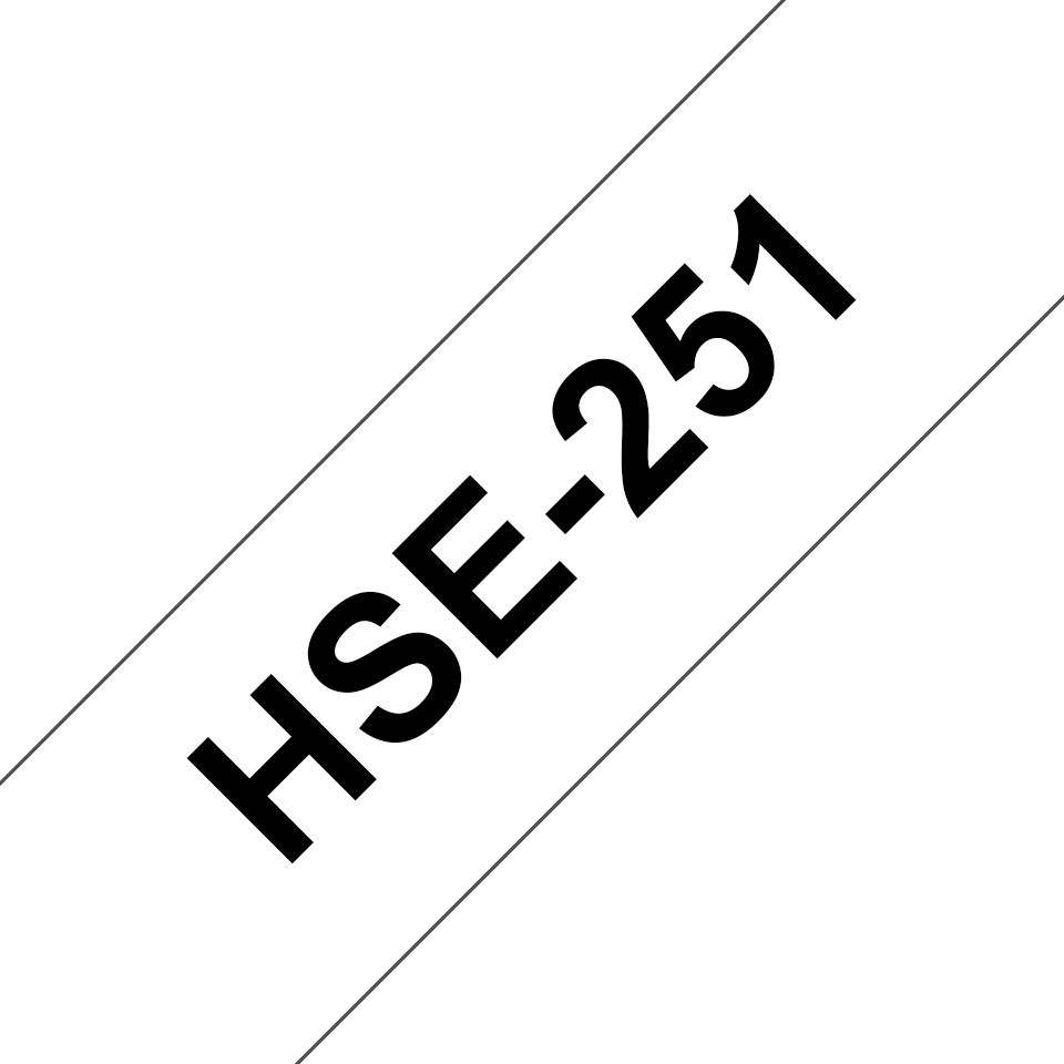 HSE251