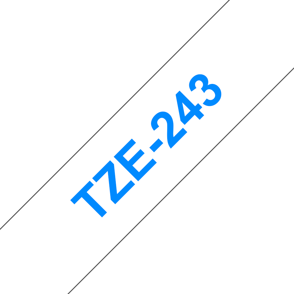 TZe243