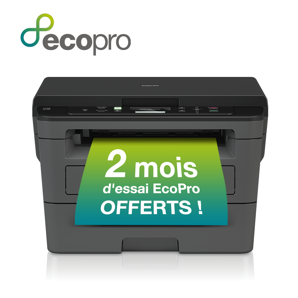 <p>EcoPro Promotion 2 months</p>
