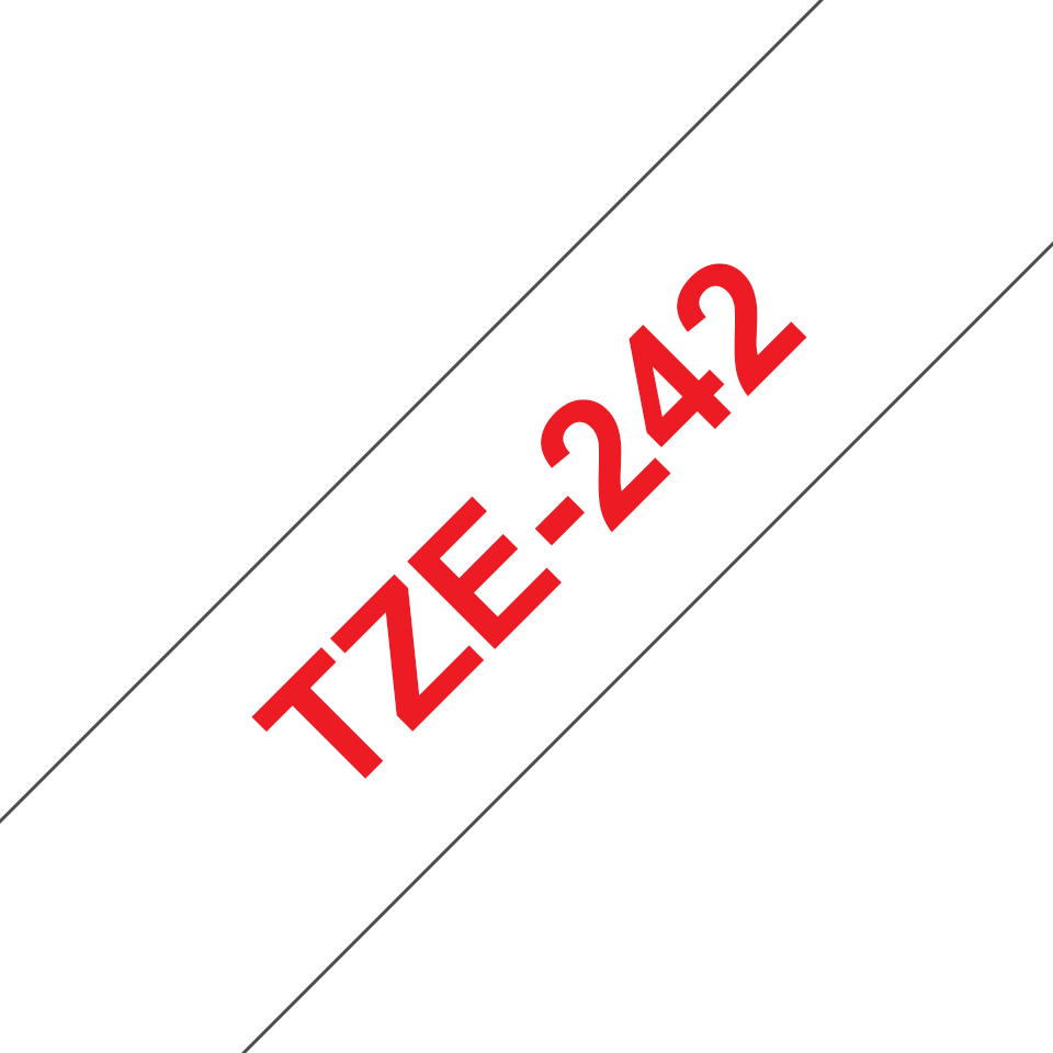 TZe242