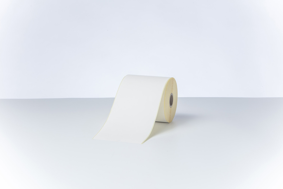 <p>LCS1N000100123N continuous label roll </p>