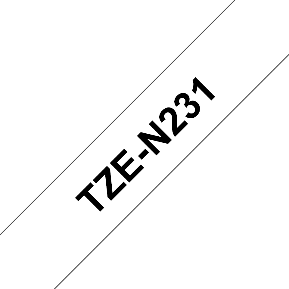 TZeN231