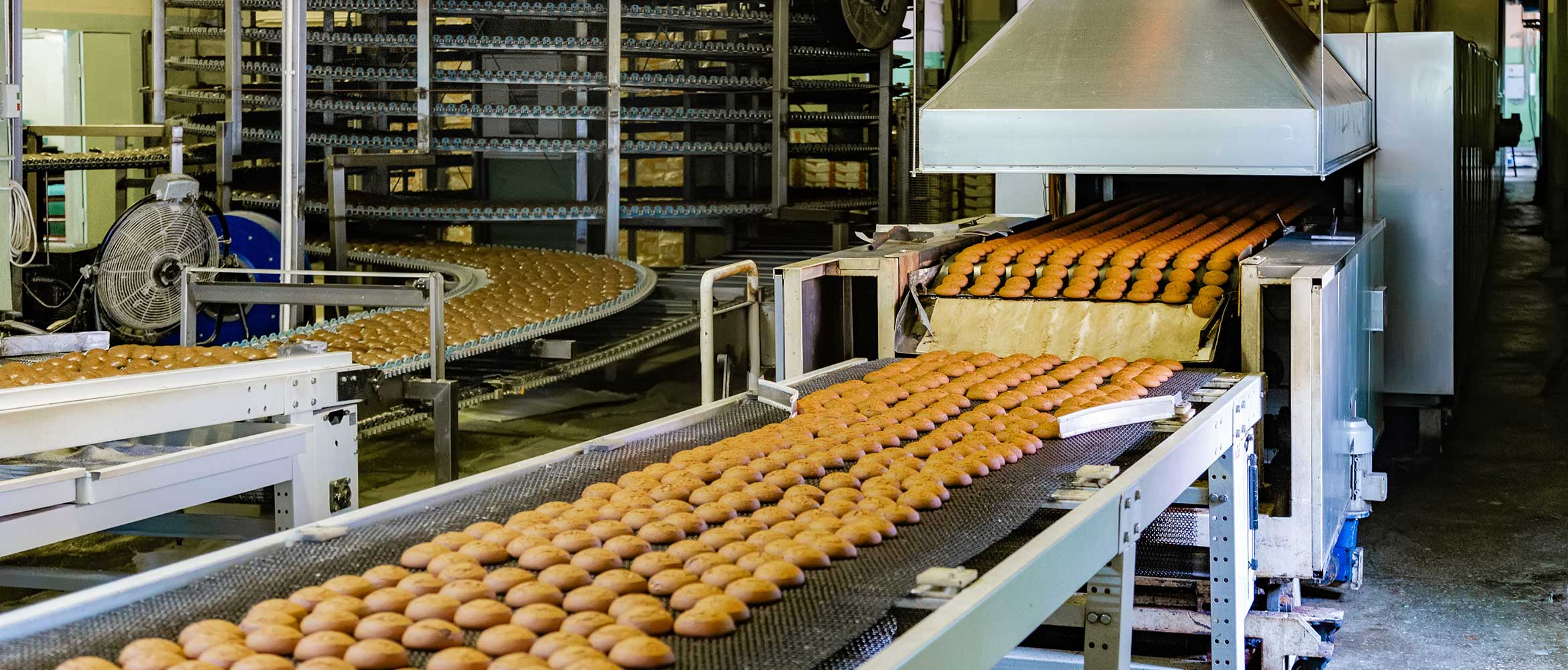 Confectionery factory. Production line of baking cookies