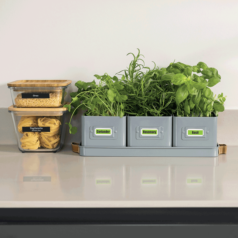 <p>Food storage containers and herb pots labelled with Btag 12mm tape.&nbsp;</p>