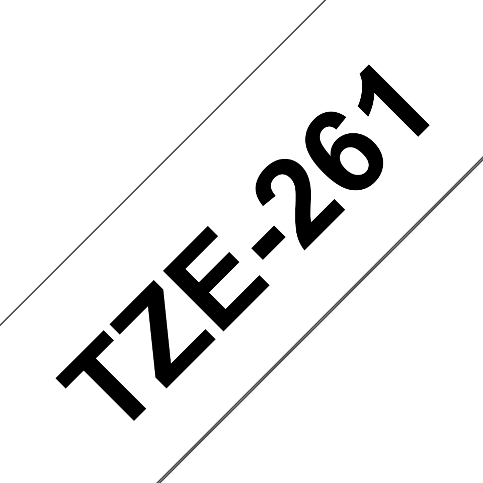 TZe261