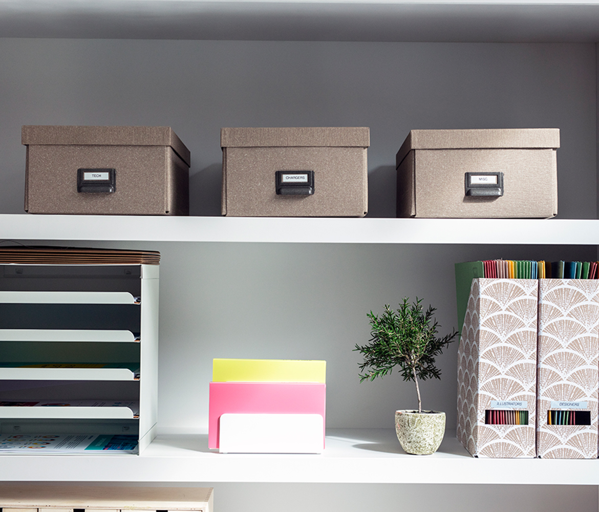 Three boxes, folders, a filing drawer and two plants placed on shelves