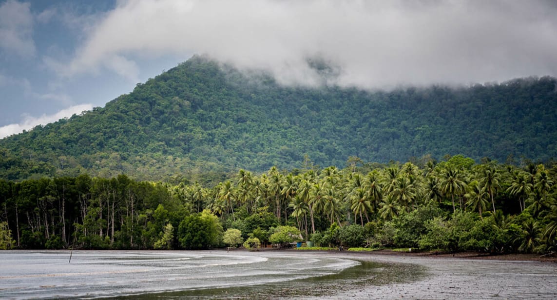 Low laying clouds over a rainforest with a beach in the foreground