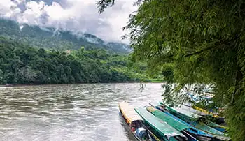 Environmental Policy Boats River Rainforest