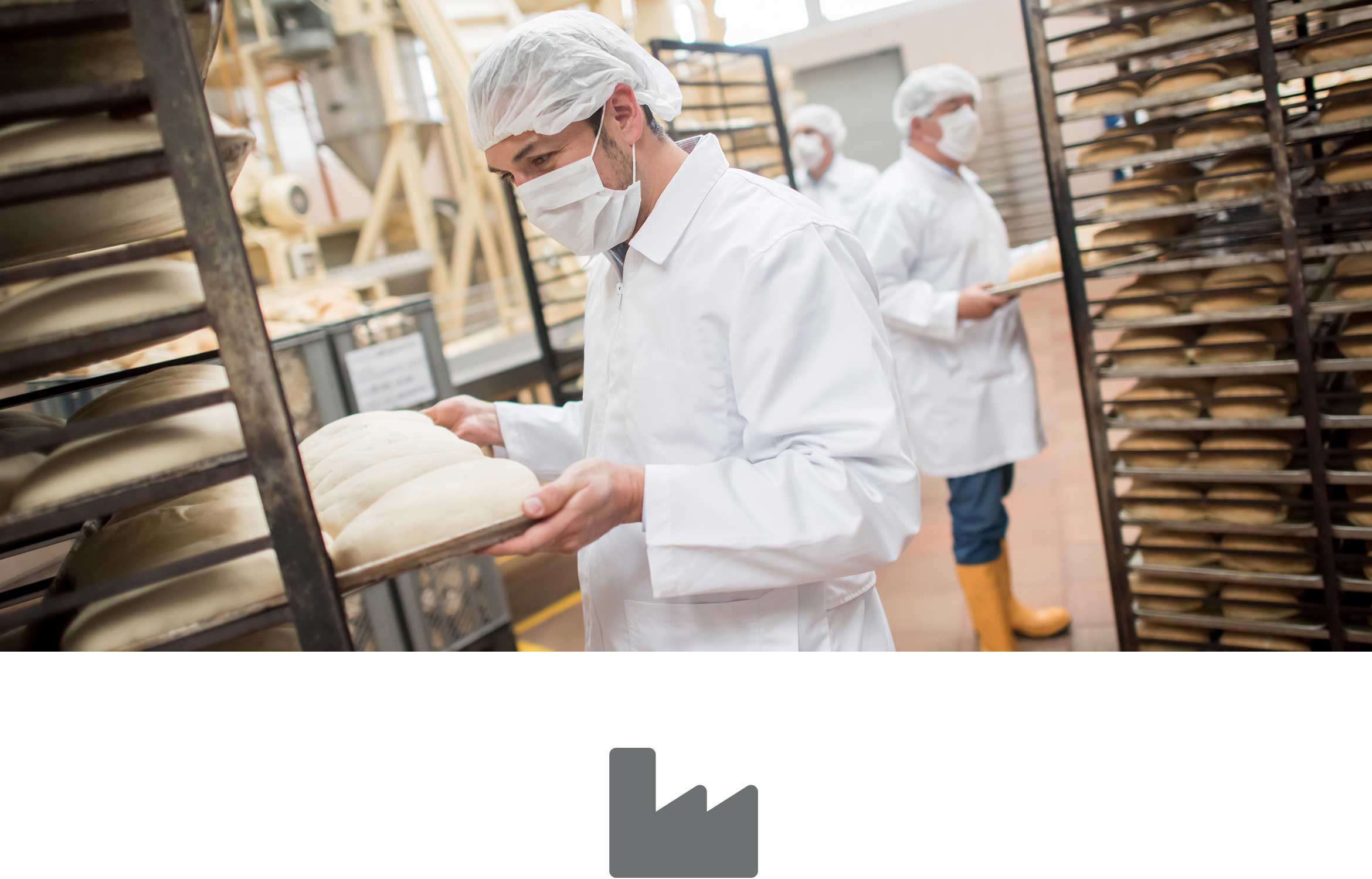 Men working at an industrial bakery and about to put bread in the oven