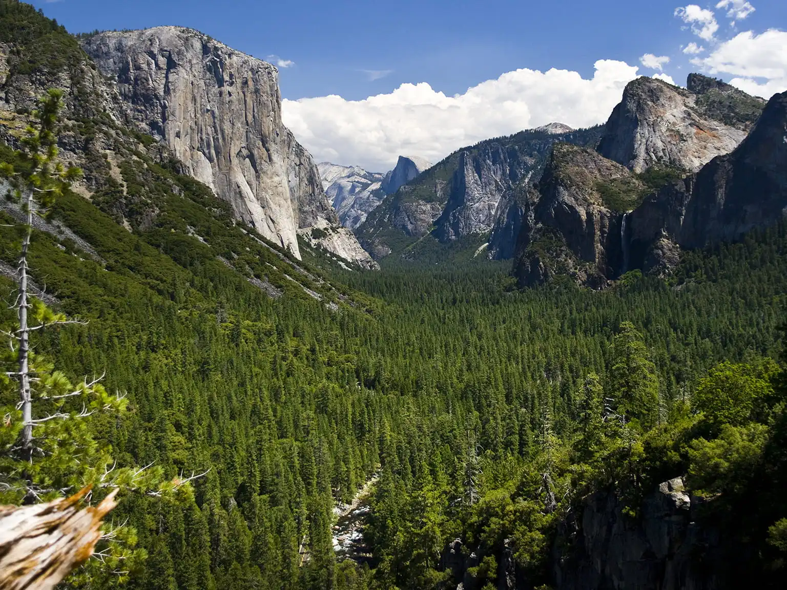 Click for the Earth Valley Forest Mountains Sky