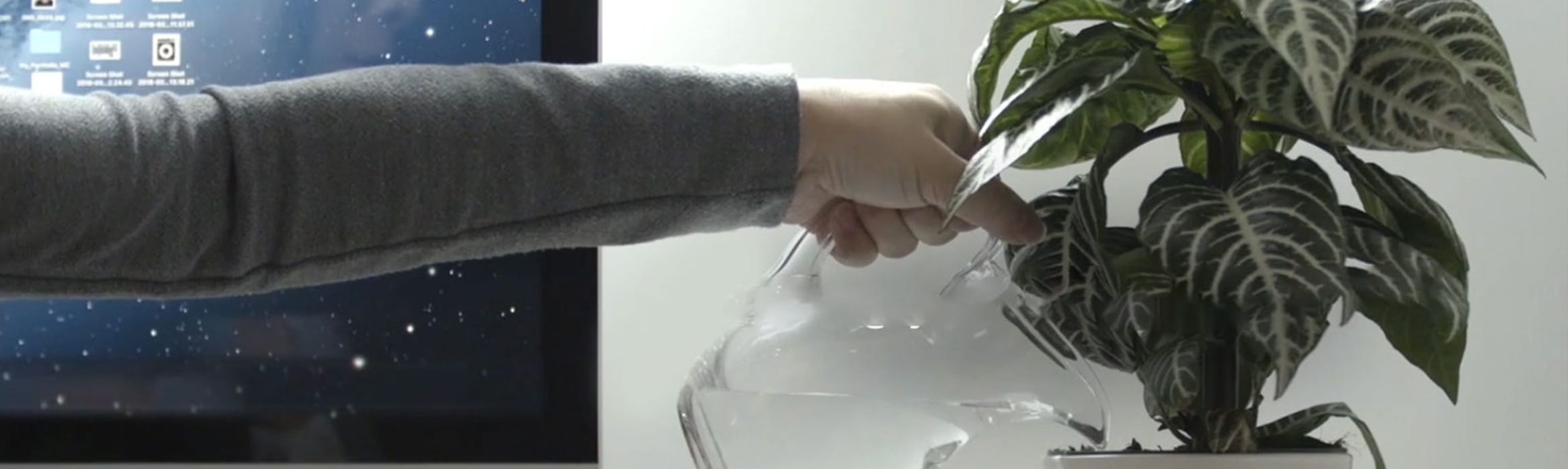 Regar uma planta