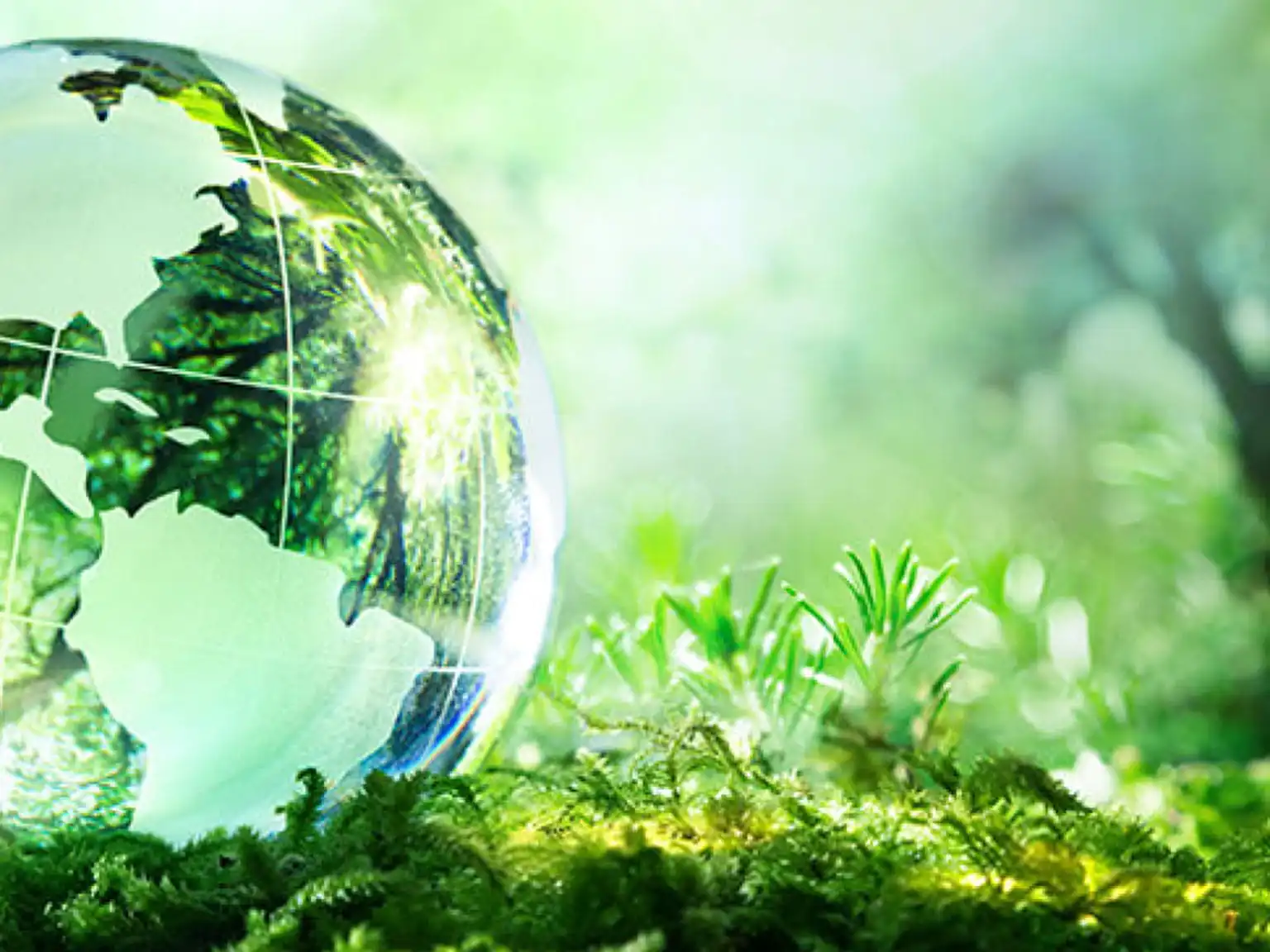 csr-global-responisibility