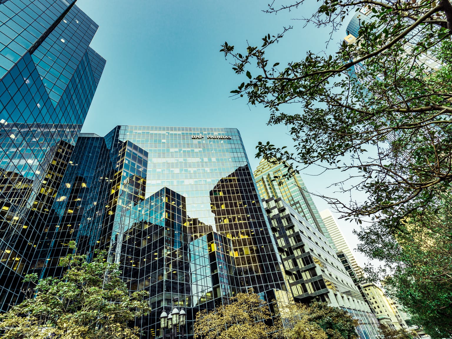 Glass windows of a skyscraper showing reflections of other buildings, viewed through trees from the ground