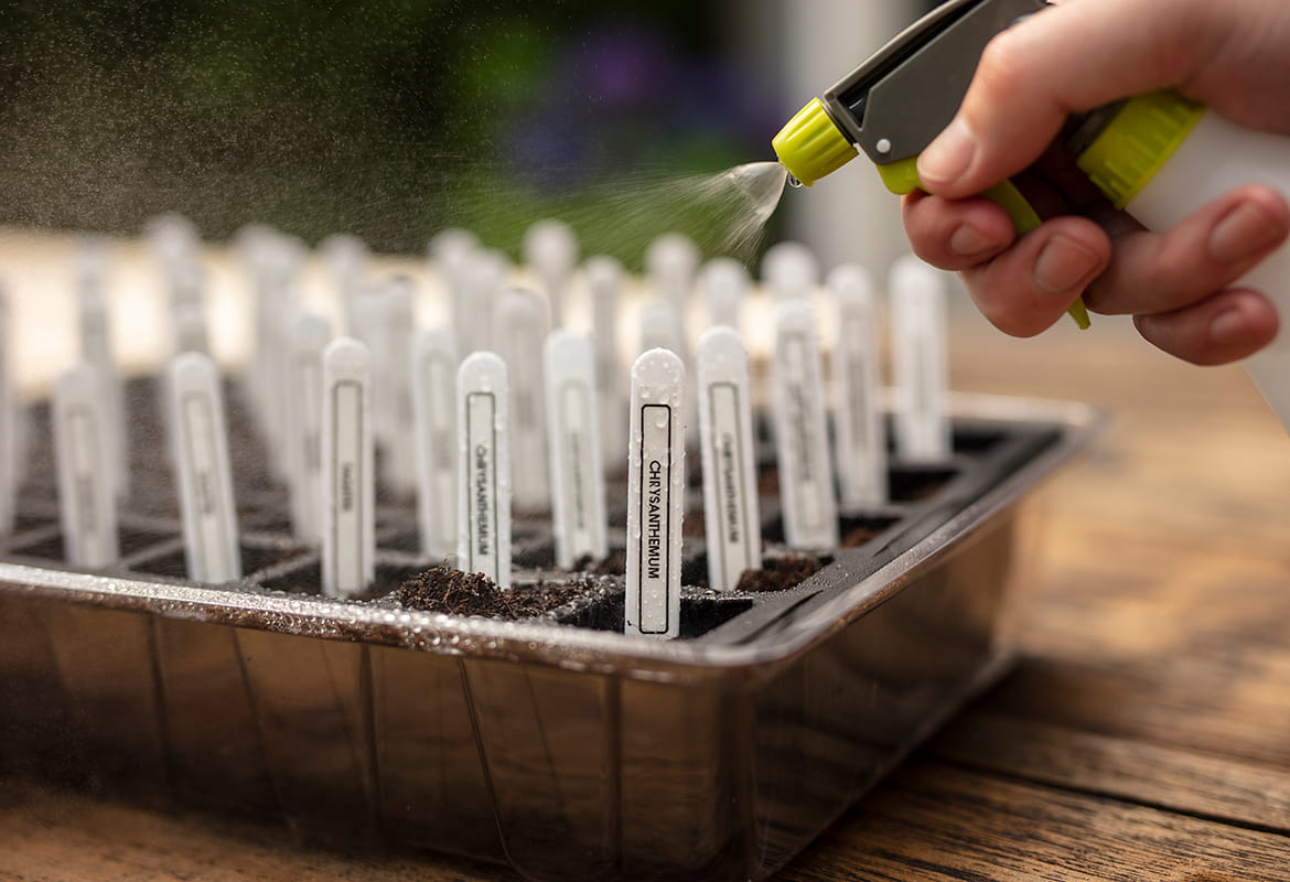 Hand holding a watering bottle which is spraying labelled plant pots