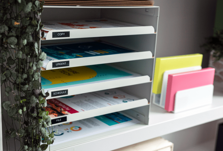 Filing drawer with a plant placed on a shelf