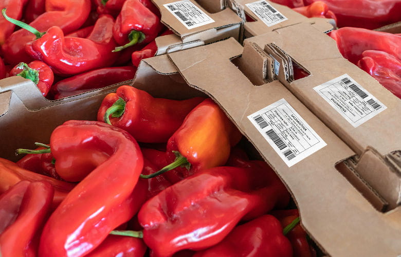 Impresoras de etiquetas industriales TJ Brother para sector hortofrutícola