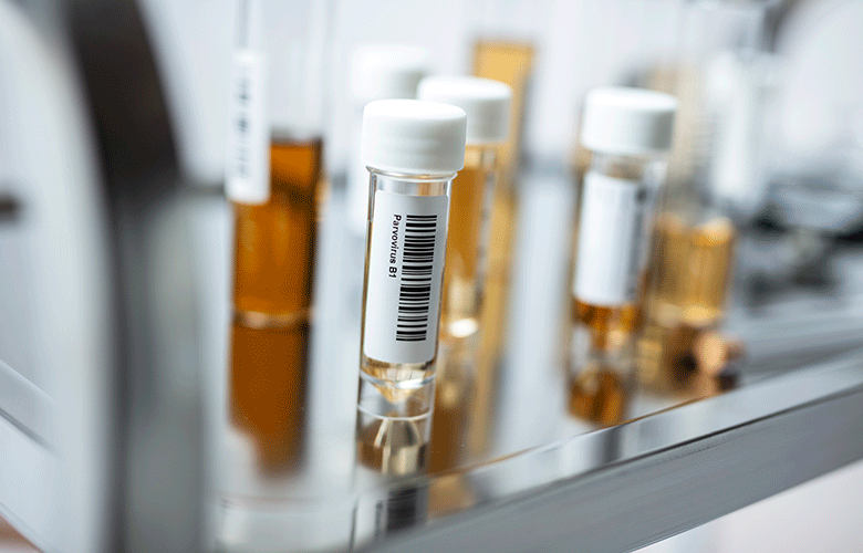 Impressoras industrias de etiquetas Brother para farmacia