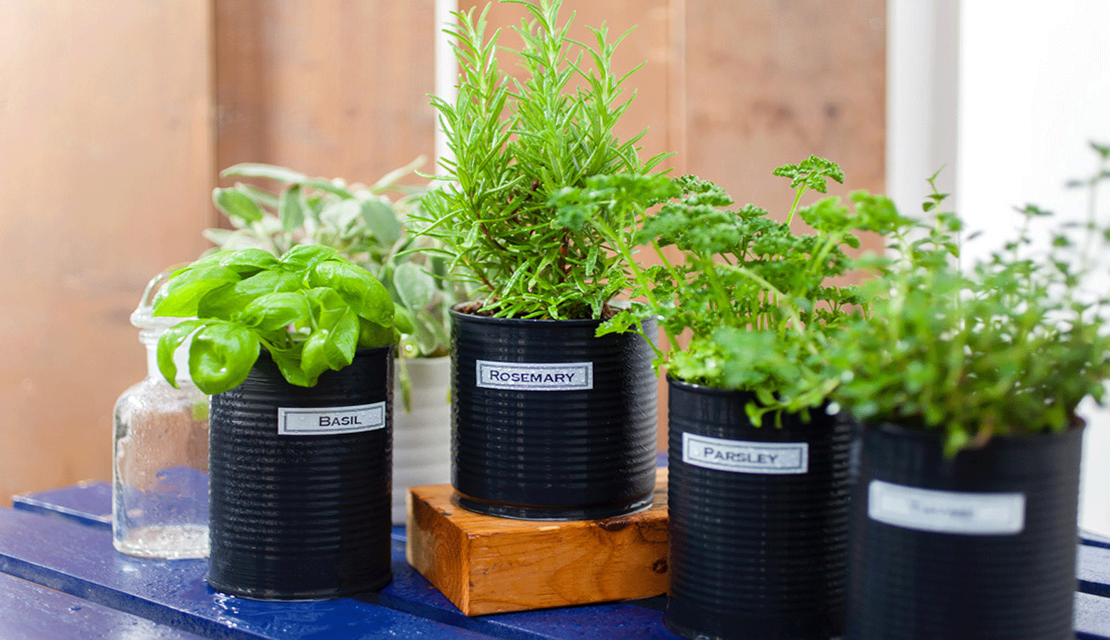 labelled garden plants